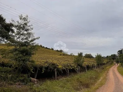 Fazenda/Sítio à venda, 10915m² no Faria Lemos, Bento Gonçalves