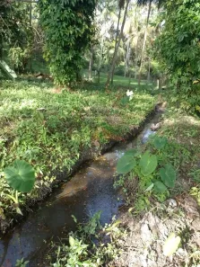 Lote/Terreno à venda, 1531m² no Ratones, Florianópolis