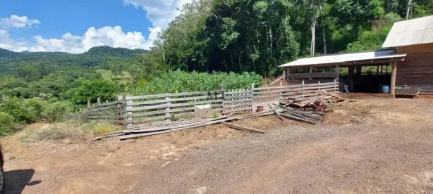 Lote/Terreno à venda, 30000m² no Picada Holanda, Picada Café