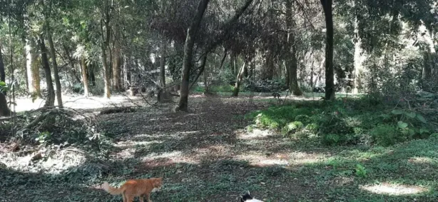 Lote/Terreno à venda, 3070m² no Chácara Flora, São Paulo