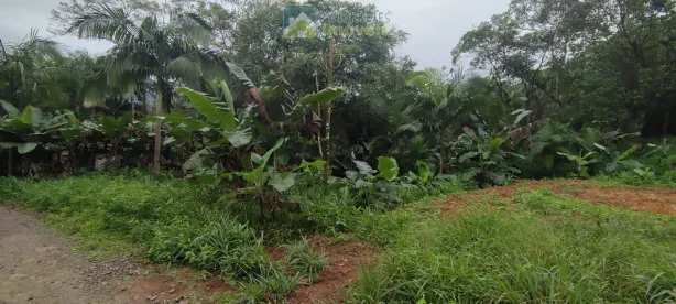 Lote/Terreno à venda, 1300m² no Porto de Cima, Morretes