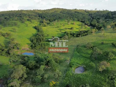 Fazenda/Sítio à venda, 1910000m² no , Caldazinha