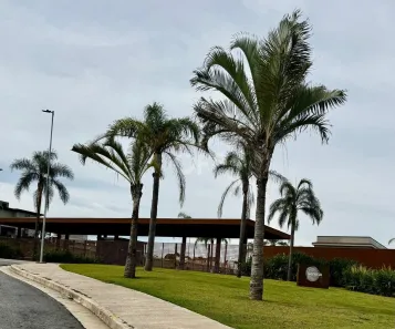 Lote/Terreno à venda, 404m² no Fazenda Pau D'Alho, Campinas