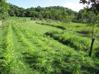 Fazenda/Sítio com 1 Quarto à venda, 8214m² no Agro Brasil, Cachoeiras de Macacu