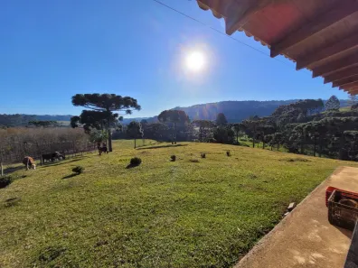 Fazenda/Sítio à venda, 12000m² no Bela Aliança, São Bento do Sul