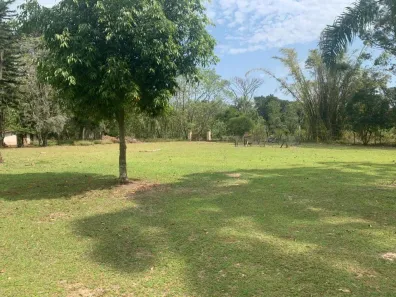 Lote/Terreno à venda, 33044m² no Vargem Grande, Florianópolis