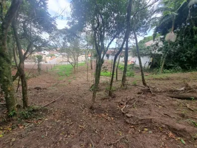 Lote/Terreno à venda, 7000m² no Ponta das Canas, Florianópolis