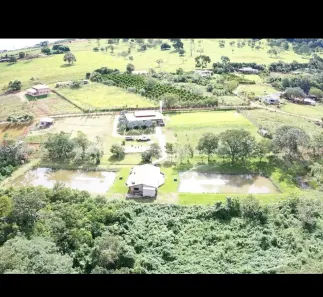 Fazenda/Sítio à venda no Zona Rural, Itauçu