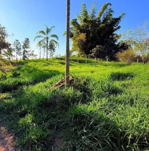 Lote/Terreno à venda, 1000m² no , Campos do Jordão