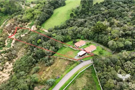 Lote/Terreno à venda, 4912m² no São Braz, Curitiba