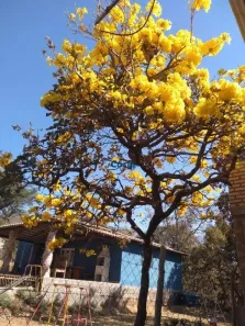 Fazenda/Sítio com 3 Quartos à venda, 110m² no Vivenda Santa Mônica II, Igarapé