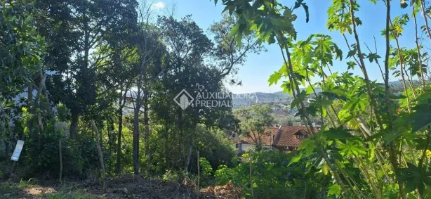 Lote/Terreno à venda, 350m² no Aberta dos Morros, Porto Alegre