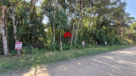 Lote/Terreno à venda, 20000m² no Área Rural de São José dos Pinhais, São José dos Pinhais