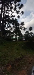 Lote/Terreno à venda, 15258m² no Jardim Iracema, Caxias do Sul