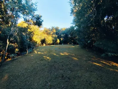 Fazenda/Sítio com 4 Quartos à venda, 300m² no Centro, Santa Tereza do Oeste