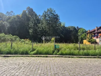 Lote/Terreno à venda, 780m² no Vinhedos, Caxias do Sul