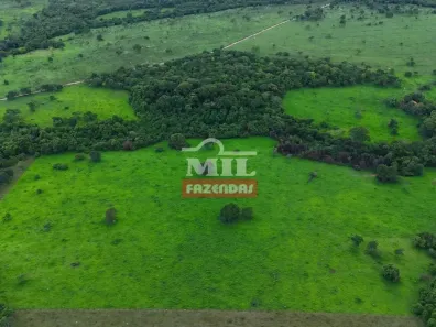 Fazenda/Sítio à venda, 500m² no Setor Central, Cezarina