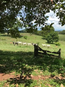 Fazenda/Sítio à venda, 40000m² no , Petrolina de Goiás