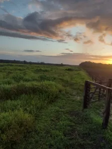 Fazenda/Sítio com 2 Quartos à venda, 2904000m² no , Igarapé-Açu