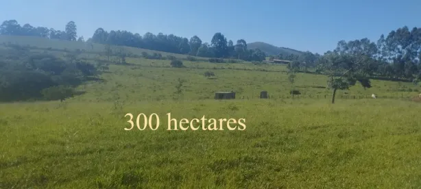 Fazenda/Sítio à venda, 3160000m² no , Oliveira