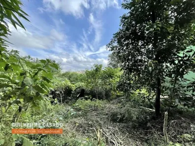 Lote/Terreno à venda, 907m² no Vila Santo Antônio, Cotia
