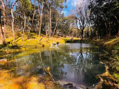 Fazenda/Sítio com 3 Quartos à venda, 5000m² no Marmeleiro, Piraquara