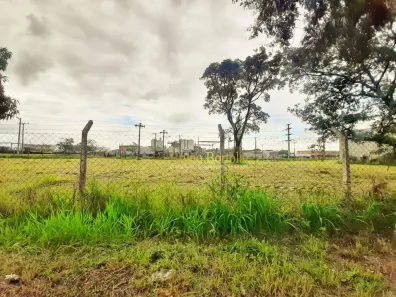 Lote/Terreno à venda, 583m² no Jardim Floridiana, Rio Claro