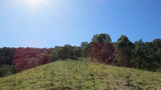 Fazenda/Sítio à venda, 110000m² no , São Bento do Sapucaí