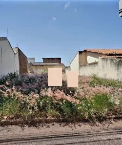 Lote/Terreno à venda, 300m² no Segismundo Pereira, Uberlândia