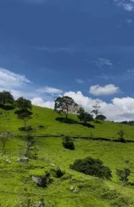 Lote/Terreno à venda, 193600m² no José da Rosa, São Bento do Sapucaí