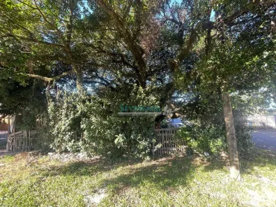 Lote/Terreno à venda, 384m² no Vila Anair, Cachoeirinha
