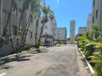 Apartamento com 2 Quartos à venda, 41m² no Parque Jamaica, Londrina