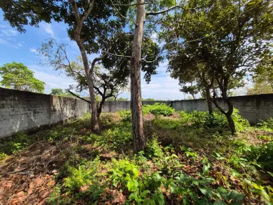 Lote/Terreno à venda, 311m² no , Santarém