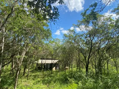 Imóvel Comercial à venda, 14061m² no Ressacada, Garopaba