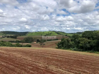 Lote/Terreno à venda, 26000m² no , Londrina
