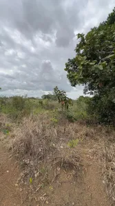 Lote/Terreno à venda, 5000m² no Paraíso, Anápolis