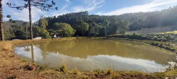 Fazenda/Sítio com 3 Quartos à venda, 130m² no , Linha Nova