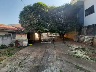 Casa com 3 Quartos à venda, 90m² no Alto Cafezal, Marília