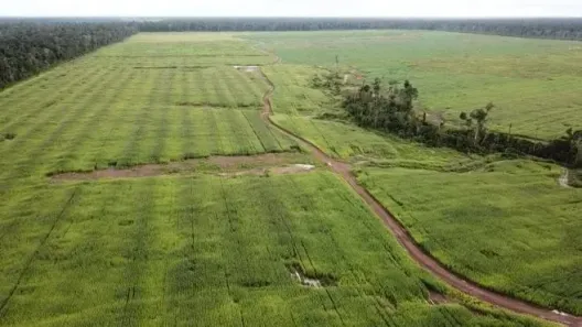 Fazenda/Sítio à venda, 22100000m² no Quatro Bocas, Tomé-Açu