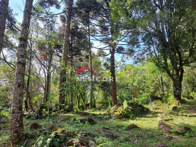 Fazenda/Sítio com 1 Quarto à venda, 35000m² no Centro, São Francisco de Paula