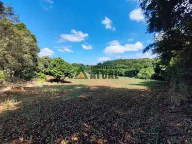 Fazenda/Sítio à venda, 648000m² no Jardim Neman Sahyun, Londrina