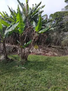 Lote/Terreno à venda, 815m² no Rio Grande, São Bernardo do Campo
