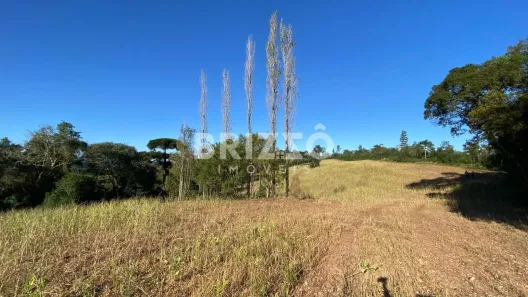 Fazenda/Sítio à venda, 20000m² no CAMPO NOVO, Campo Magro