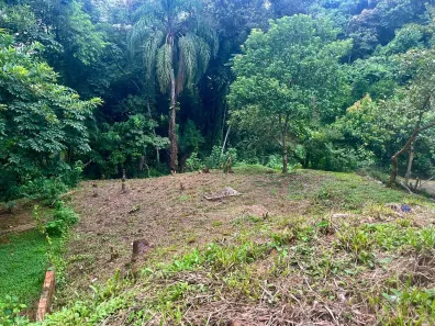 Lote/Terreno à venda, 624m² no , Antonina