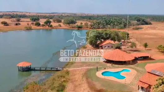 Fazenda/Sítio à venda, 338800000m² no , Cocalinho