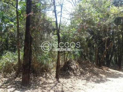 Lote/Terreno à venda, 1204m² no Pasárgada, Nova Lima