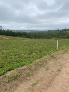Lote/Terreno à venda, 500m² no Altos de Caucaia (Caucaia do Alto), Cotia