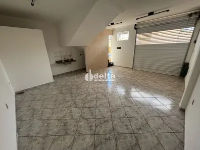 Casa com 3 Quartos à venda, 300m² no Custódio Pereira, Uberlândia