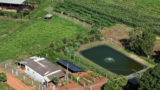 Fazenda/Sítio com 3 Quartos à venda, 133100m² no Centro, Palestina