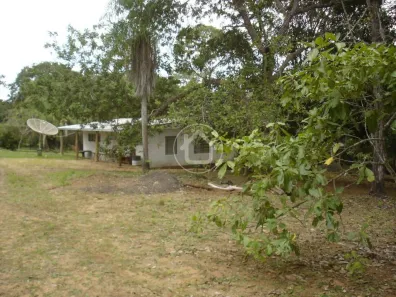 Fazenda/Sítio com 1 Quarto à venda, 5000m² no , Terenos